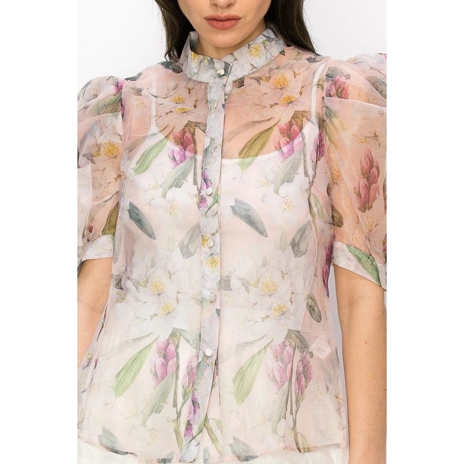 Robin's Sheer Organza Top