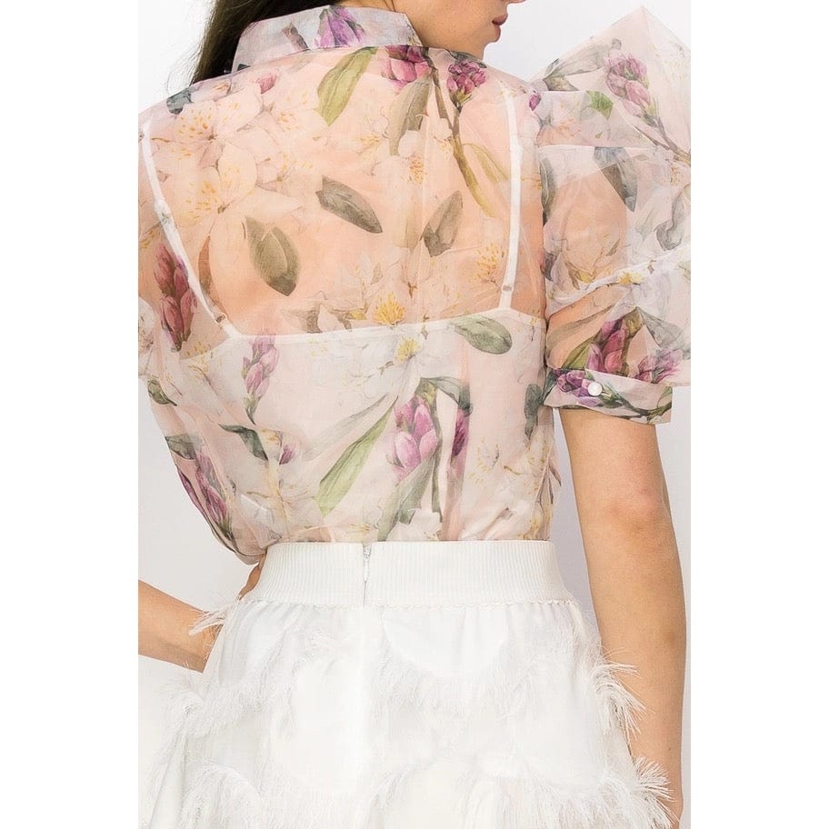 Robin's Sheer Organza Top