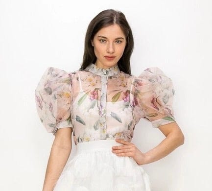 Robin's Sheer Organza Top